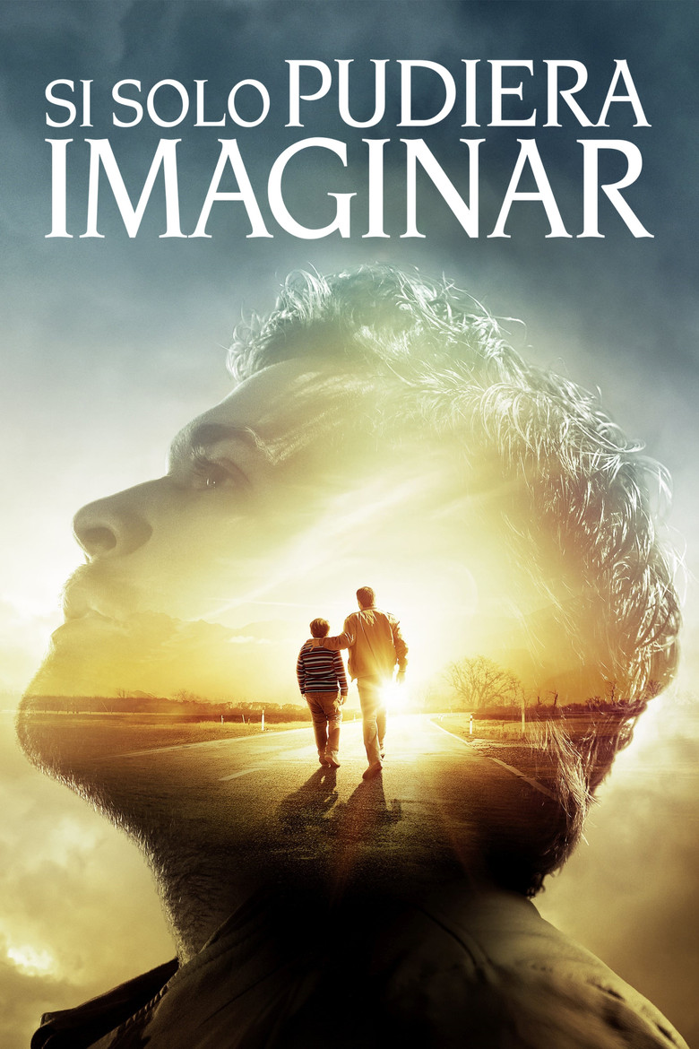 Póster la Película