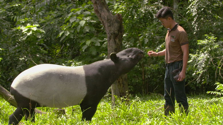 Still image for 72 Cutest Animals season 1 episode 7: Weird and Wonderful Still image for 72 Cutest Animals season 1 episode 7: Weird and Wonderful