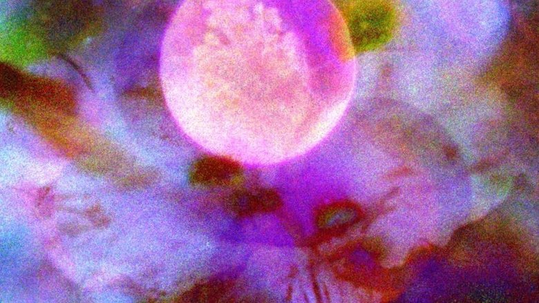 Gallery image from ihZ10gtpD4ezRyVBG8HVbLTfFHb.jpg