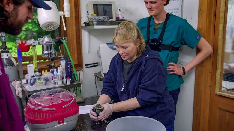 Still image for Joanna Page's Wild Life season 1 episode 4: Episode 4