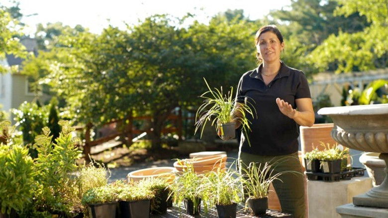 Hole Patches; Threshold Repair