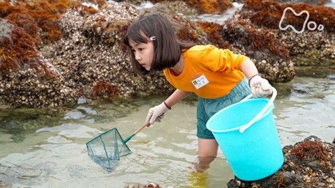 Still image for Soar High! season 1 episode 5: Episode 5 Still image for Soar High! season 1 episode 5: Episode 5