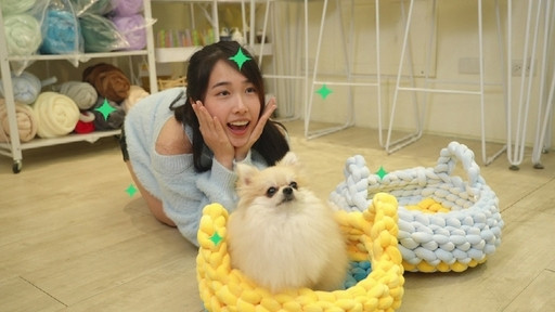 Still image for 台灣萌萌的 season 1 episode 5: Episode 5