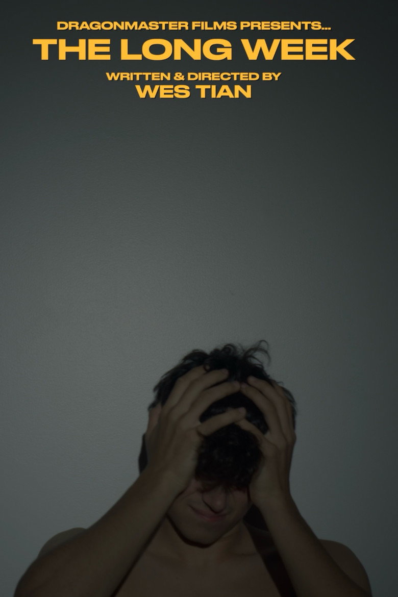 Affiche de THE LONG WEEK