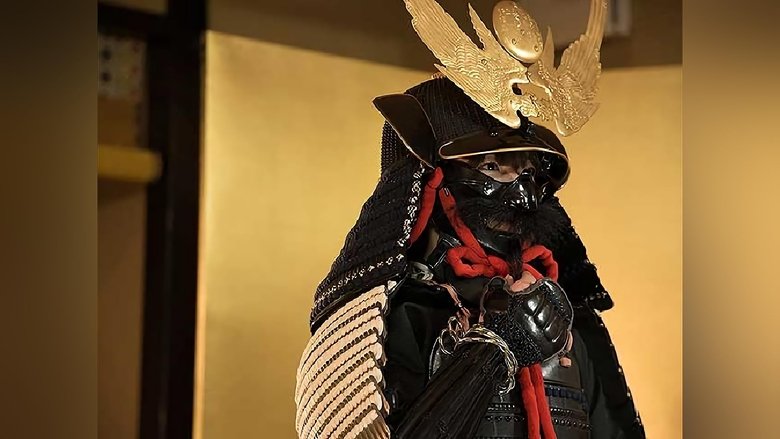 Still image for Yoroi Bijo season 1 episode 35: Episode 35