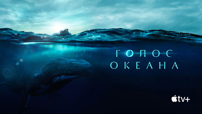 Gallery image from ijY4zpupMqZf4JKKzRtwNnAn0d0.jpg