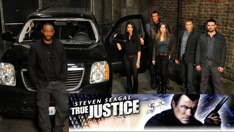 Voir True Justice en streaming sur streamizseries.com | Series streaming vf