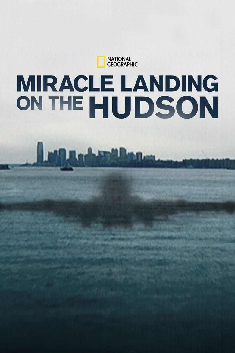 Miracle Landing on the Hudson (2014)