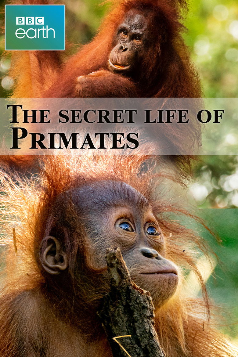 Imatge de The secret life of Primates