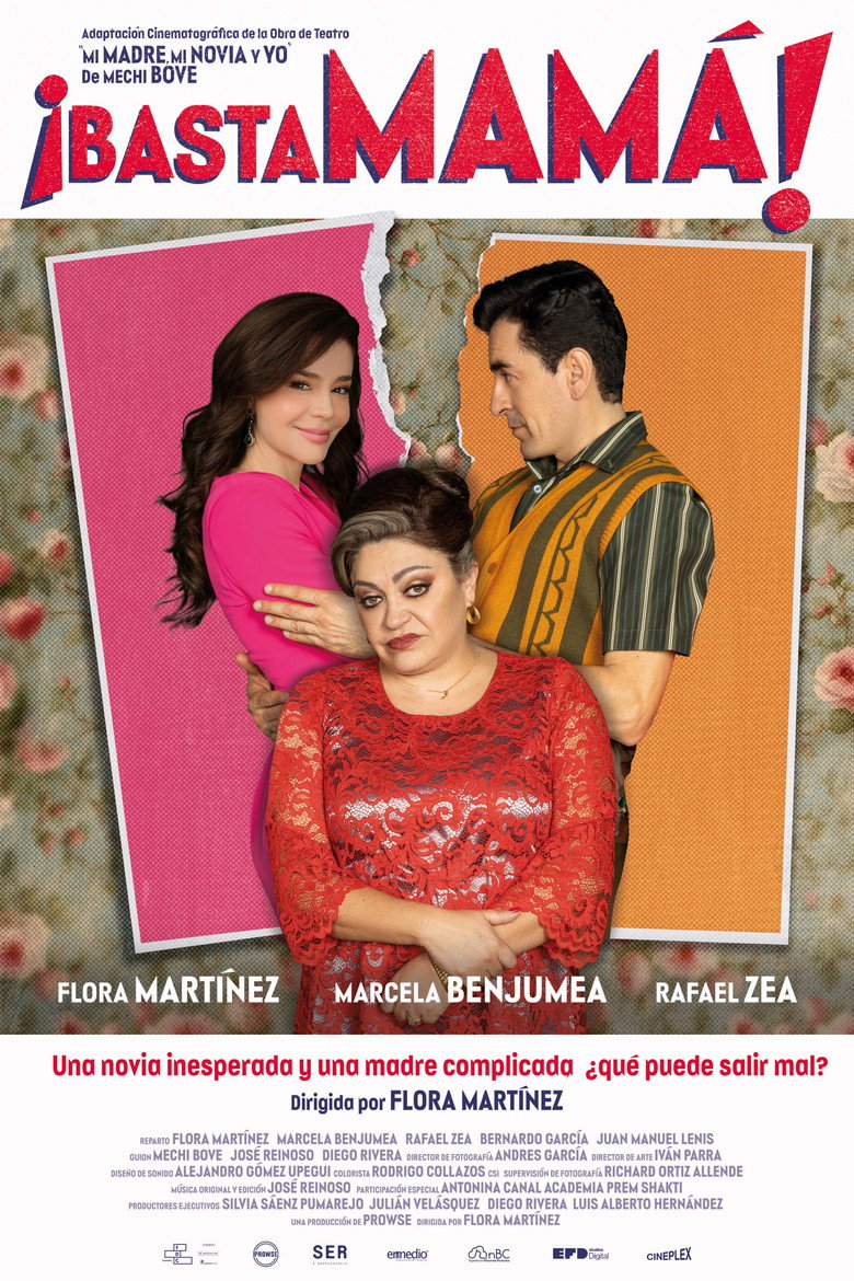 Póster la Película
