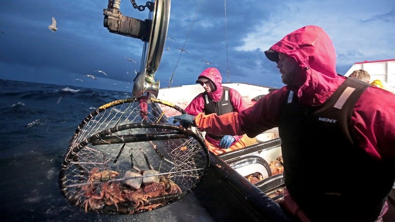 Still image for Deadliest Catch: Dungeon Cove season 1 episode 2: Pacific Fury