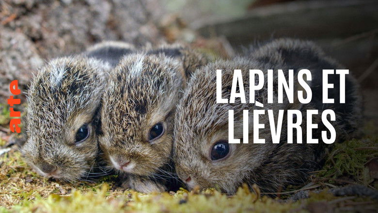 Gallery image from ikfRpESD2idbinn2WsOfCFAzyuW.jpg