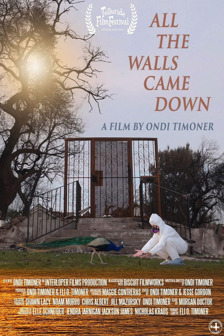 Imatge de All the Walls Came Down