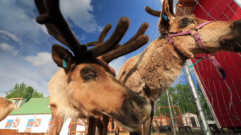 Still image for Dr. Dee: Alaska Vet season 1 episode 6: Tis the Season Still image for Dr. Dee: Alaska Vet season 1 episode 6: Tis the Season