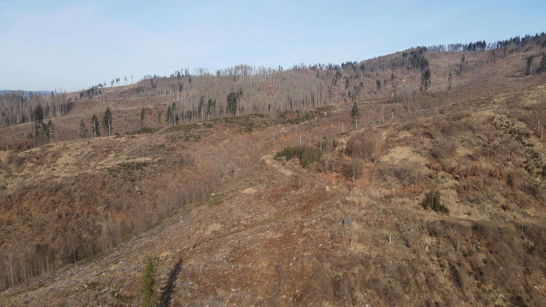 Gallery image from imHySCbojluTQ1dcCehiOSc5SBH.jpg