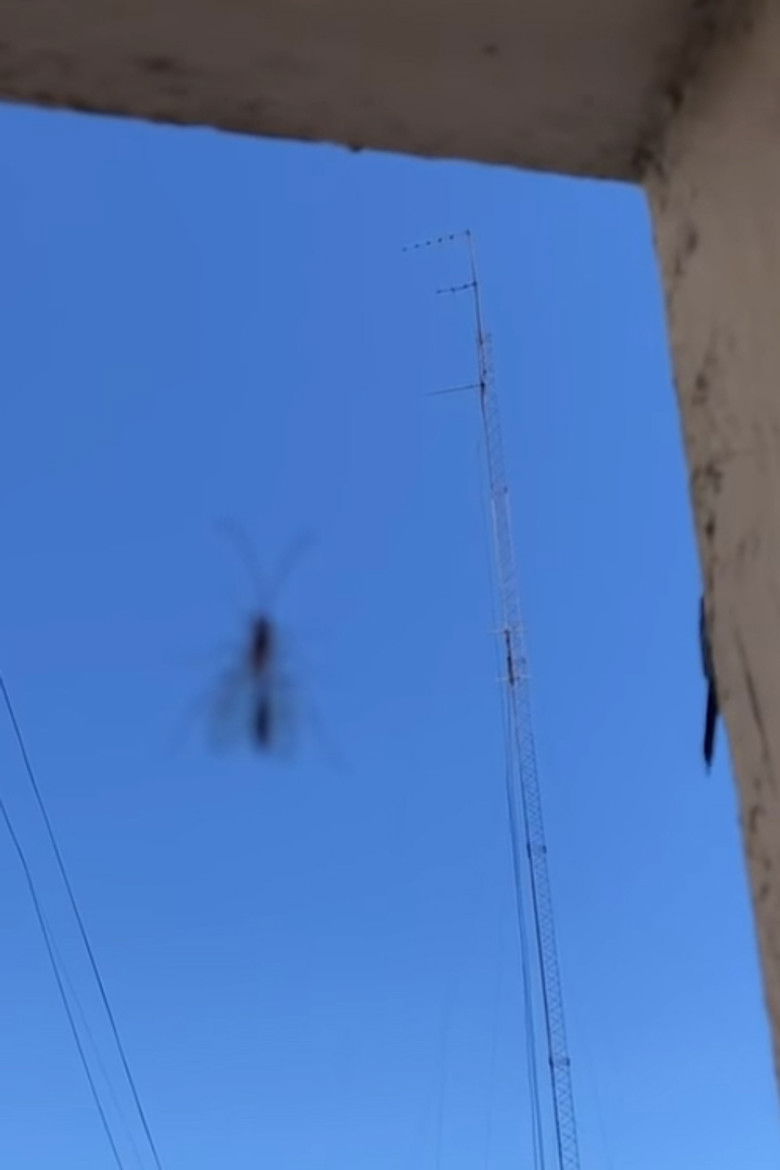 Imatge de These Days