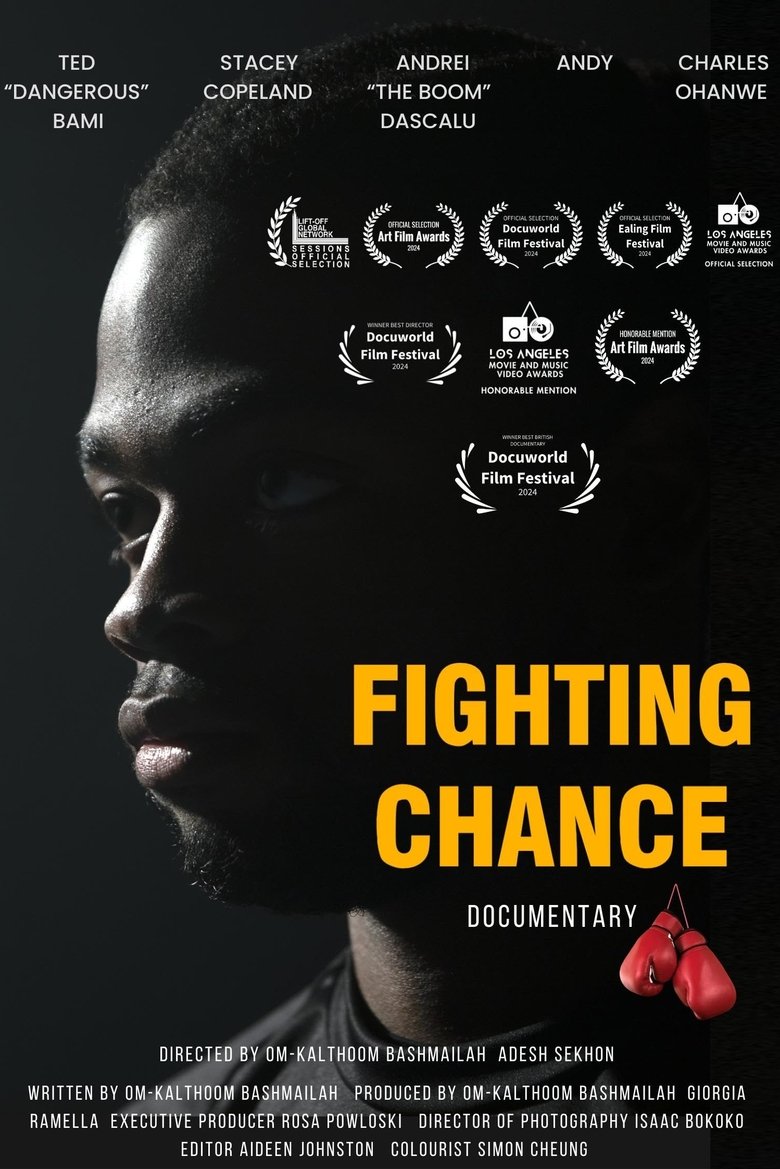 Fighting Chance poster