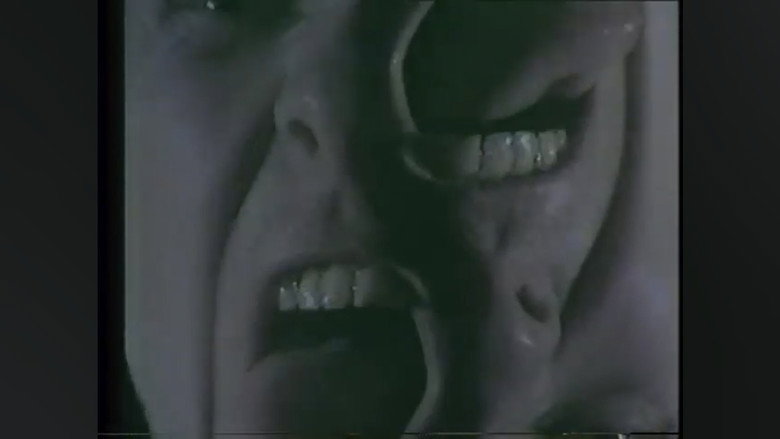 Swans: A Long Slow Screw. image 3