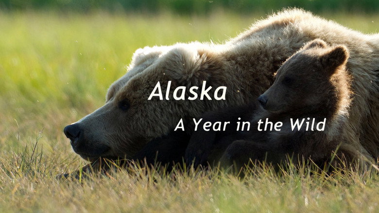 Image from Alaska: A Year in the Wild