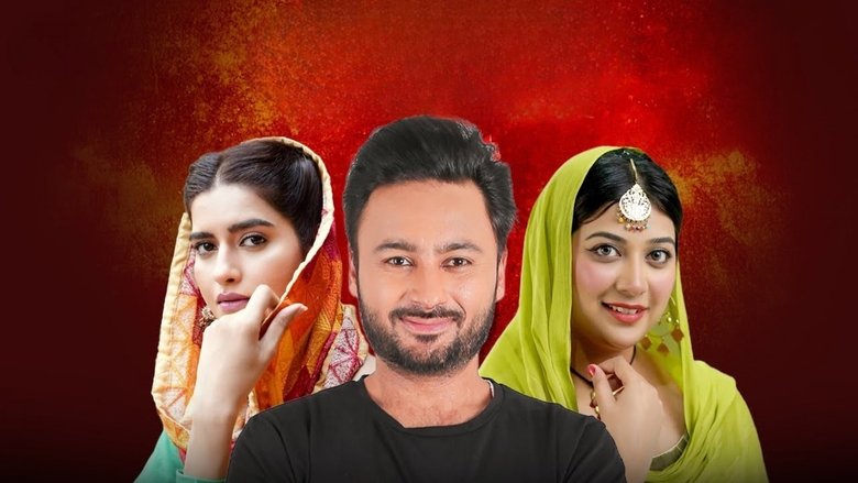 Main Tere Qurbaan (2025) Panjabi WEB-DL 480p, 720p & 1080p | GDRive