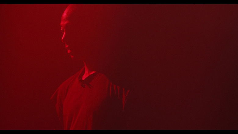 Gallery image from iqlB6YEdnz75Kc8iYI3MLHbJlPq.jpg