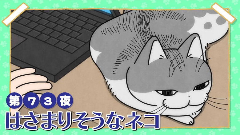 Still image for Nights with a Cat season 1 episode 73: Night 73: A Cat About to Get Stuck