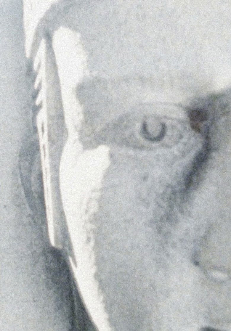 Imatge de An Architecture of Desire