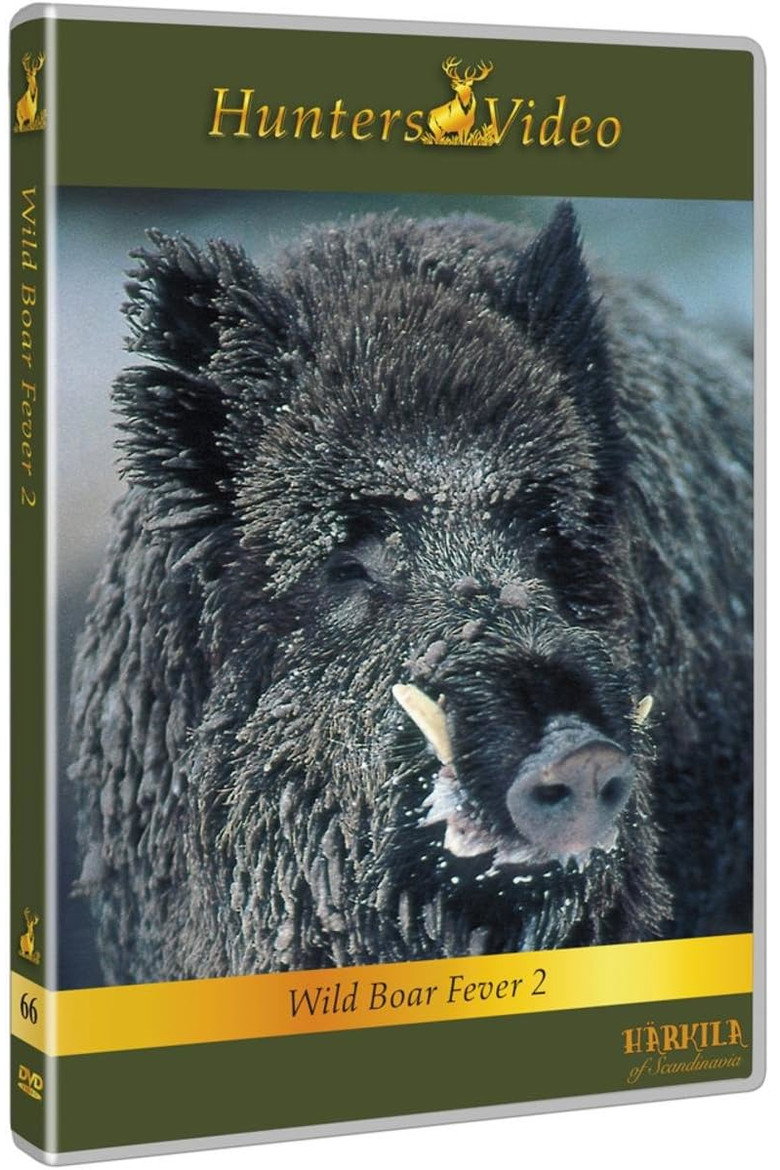Wild Boar Fever 2 background