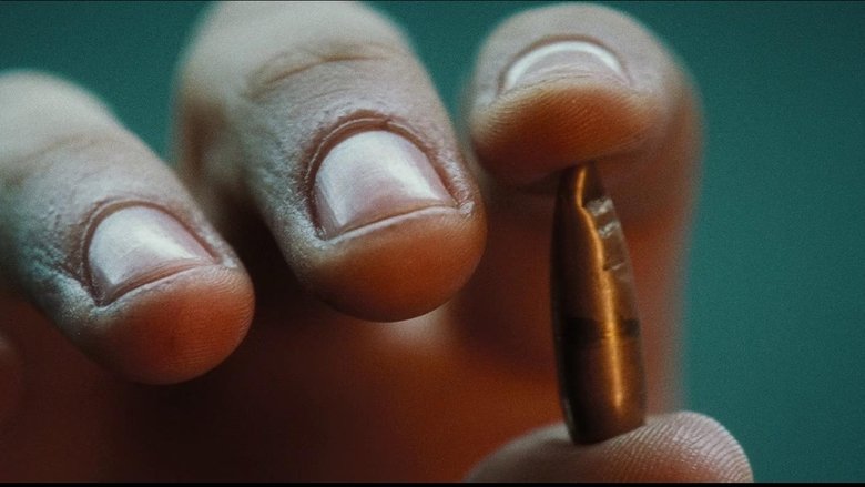 Lord of War (2005)