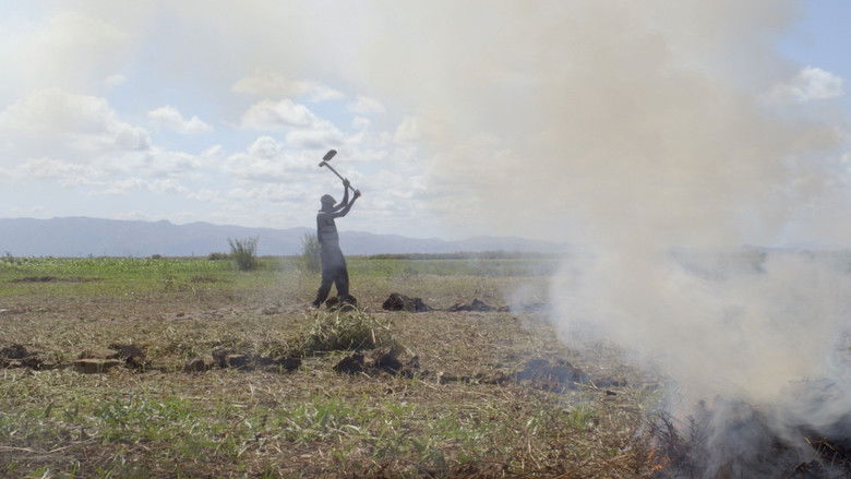 The Dispossessed backdrop 4