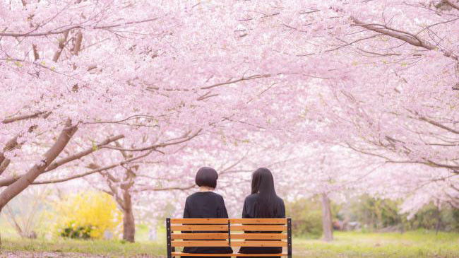 Still image for Utsubora season 1 episode 5: Episode 5 Still image for Utsubora season 1 episode 5: Episode 5