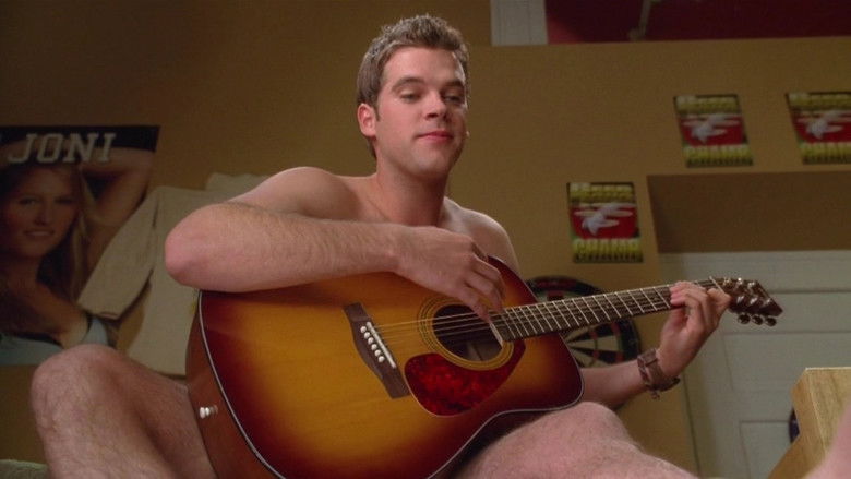 Backdrop de Road Trip Collection