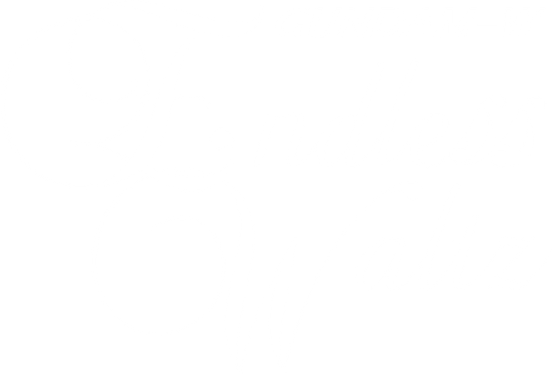 Gundam Wing: The Endless Waltz