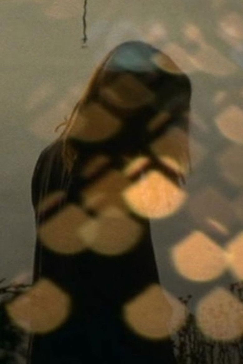 Imatge de Disporting with a Shadow