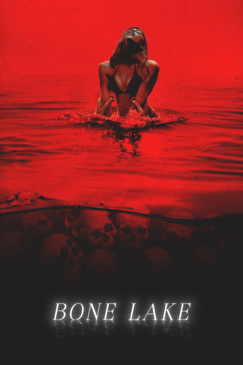 Póster la Película