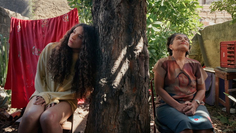 Imatge de Se Já é Tarde, Então Me Parto