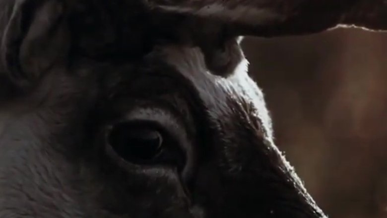 Gallery image from iwa5mWdwTds6py5AV0XYeGRZavm.jpg