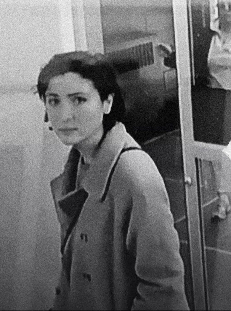 Imatge de Notes on Vanishing