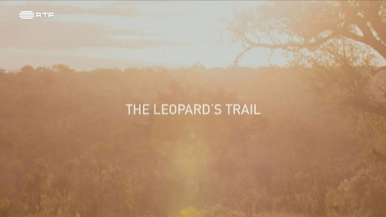 Still image for Planet Safari season 1 episode 6: Episode 6