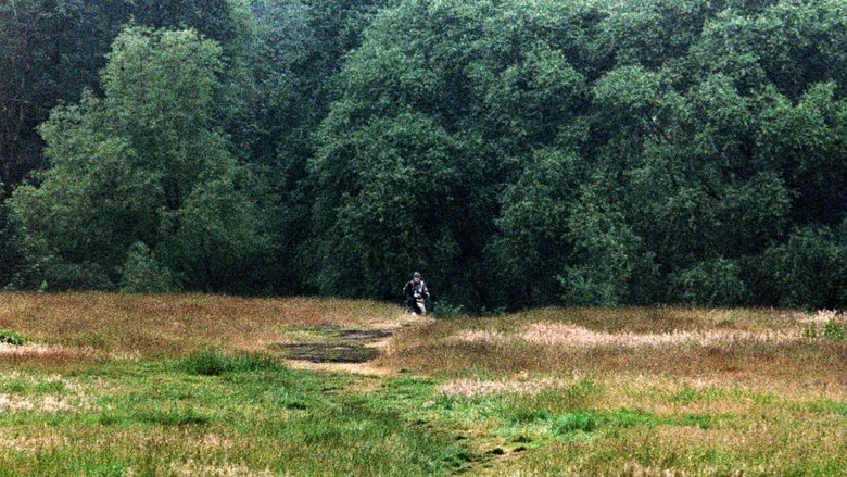 Monty Python and the Holy Grail (1975)