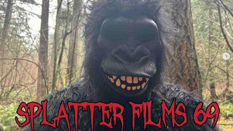 Gallery image from iy5rnYTdauIi2703vKPNgWbGnLk.jpg