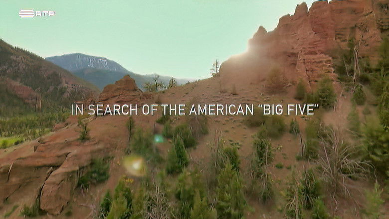 Still image for Planet Safari season 1 episode 1: Episode 1