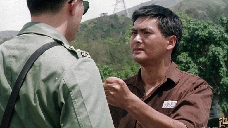 Backdrop de Gam yuk fung wan Collection