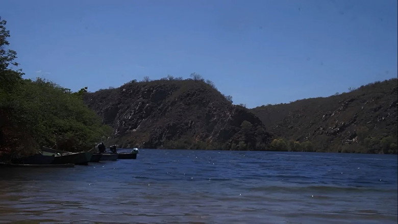 Imatge de As Curvas da Estrada