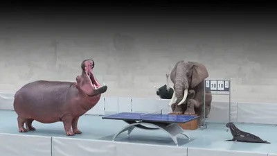 Still image for Athleticus season 1 episode 1: Episode 1