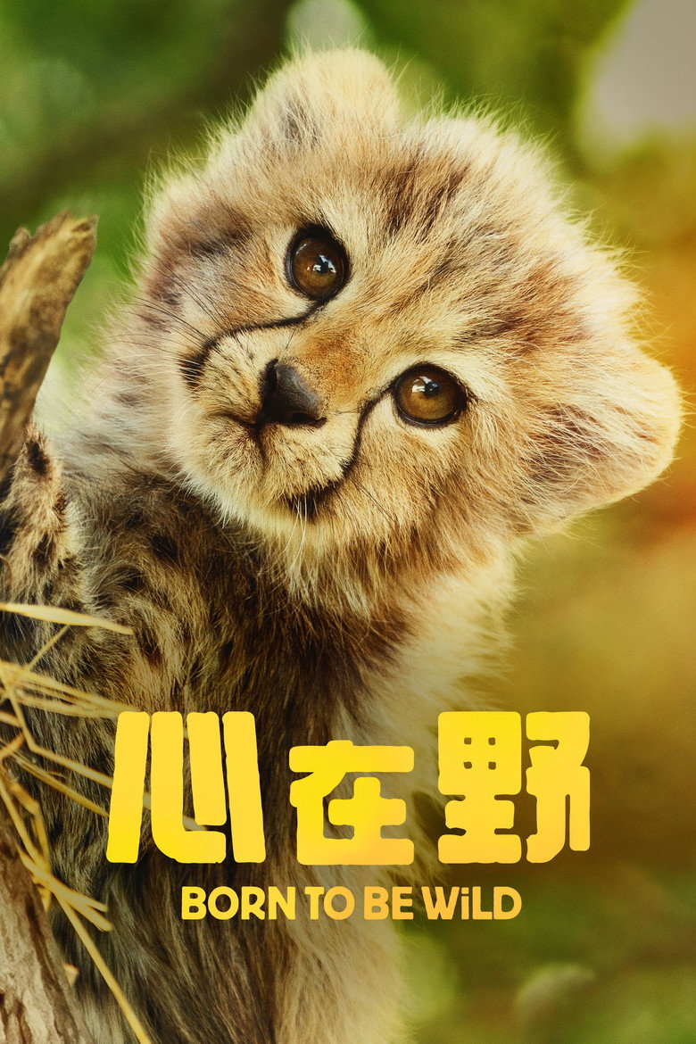 生而狂野 (2025)-光鸭·臻影社