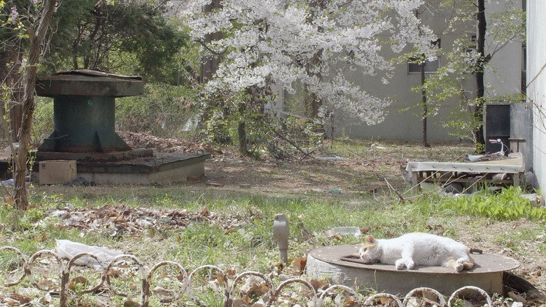 Cats' Apartment still 3
