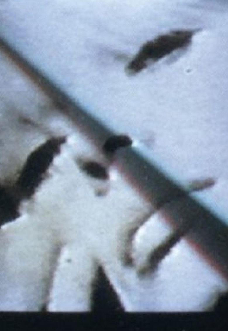 Imatge de Nico: In Memoriam