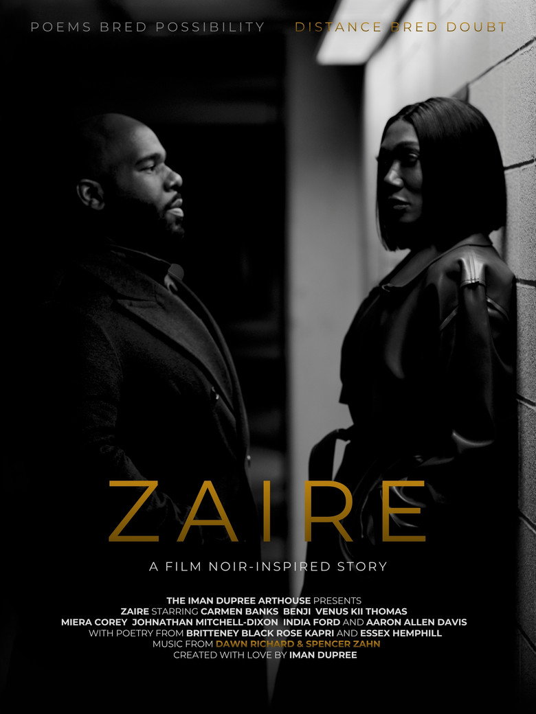 Zaire: A Film Noir-Inspired Story