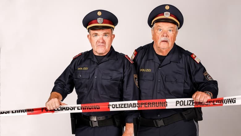 Gallery image from j287hmcD5rodS0HFkgOvSWvWYrh.jpg